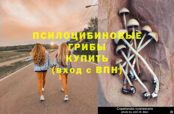 МДПВ Вязники