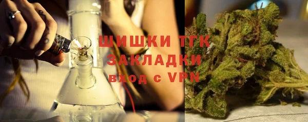 прущий лед Вяземский