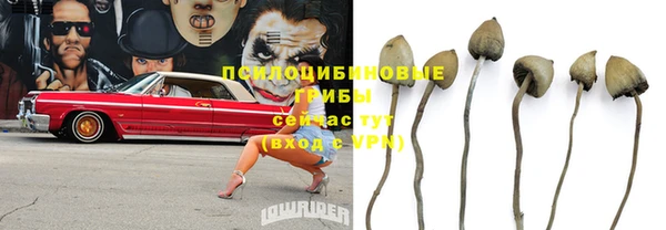 прущий лед Вяземский
