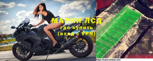 прущий лед Вяземский