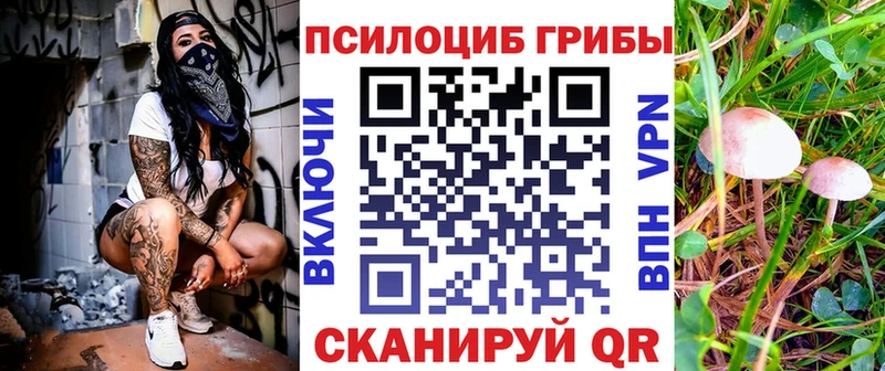 Псилоцибиновые грибы GOLDEN TEACHER  Щёлково 